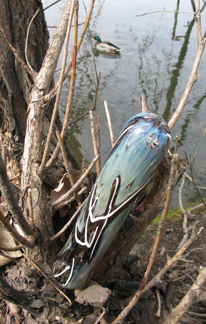 tap handle branches
