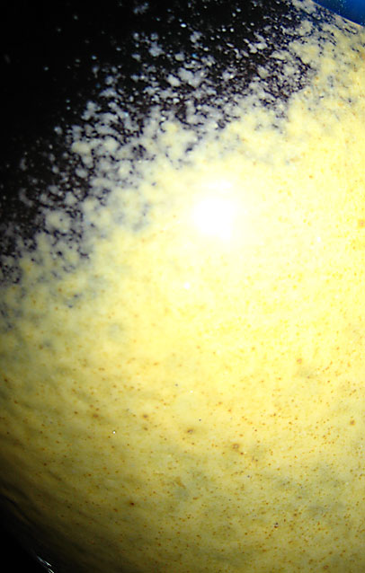 bottle closeup