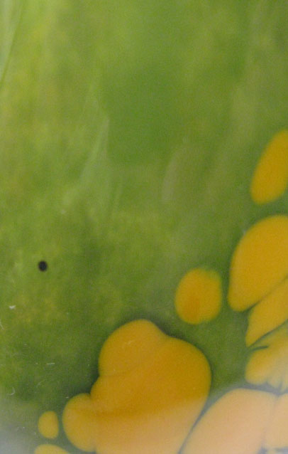 bottle closeup