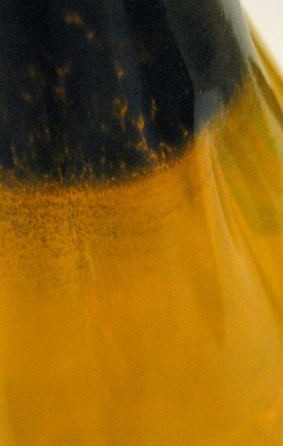 bottle closeup