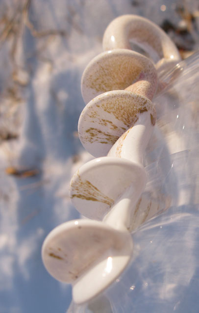 bottle closeup