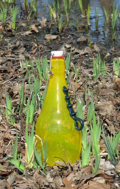 bottle in the world