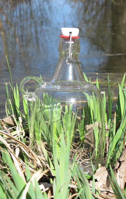 bottle closeup